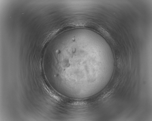 X0000058800537200510171349