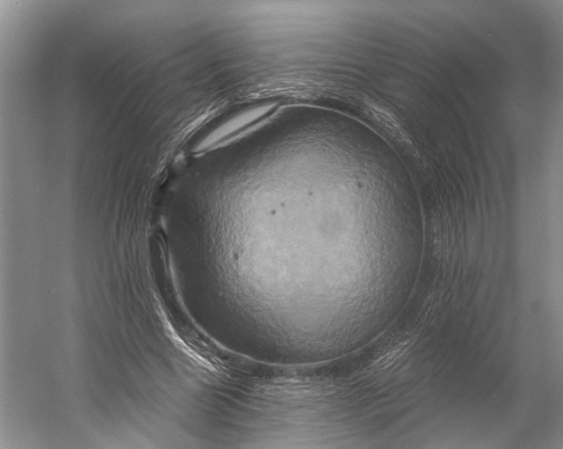 X0000058800538200510171349