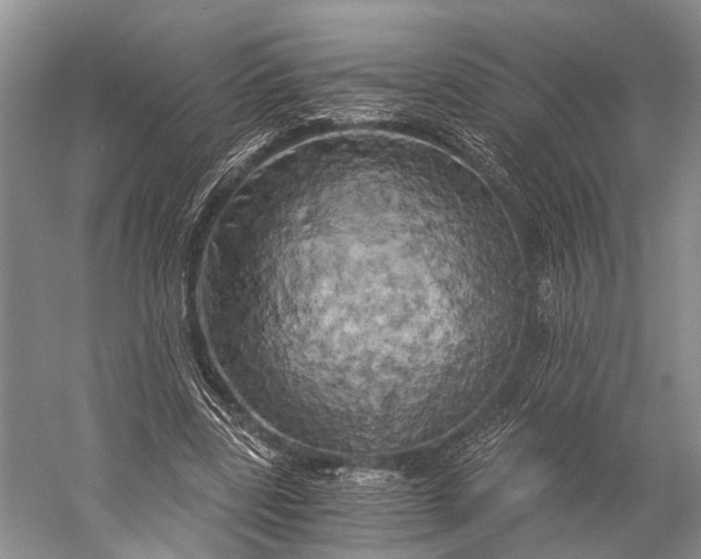 X0000058800539200510171349