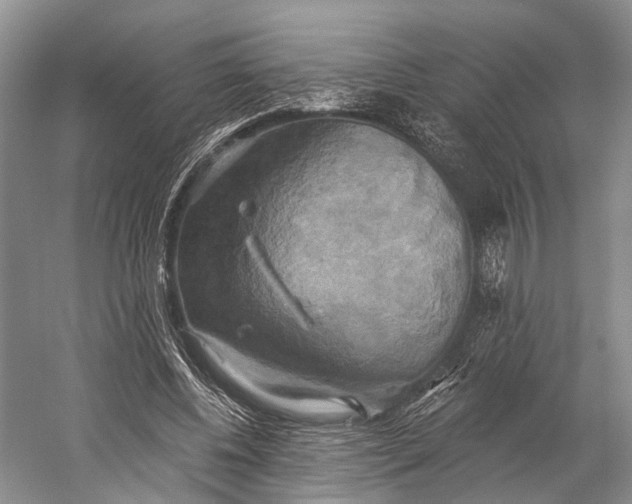 X0000058800540200510171349