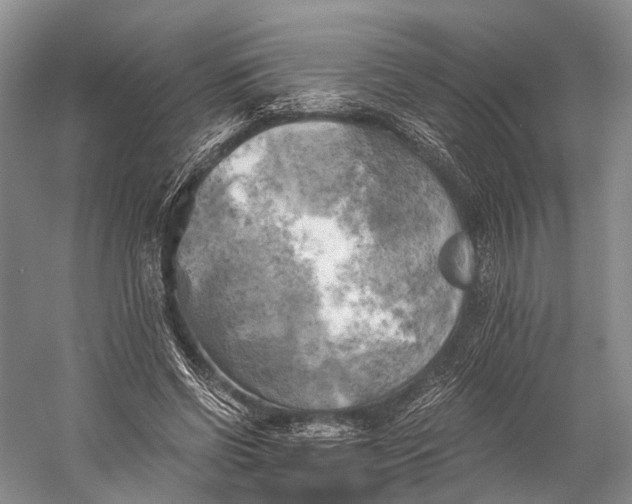 X0000058800542200510171349