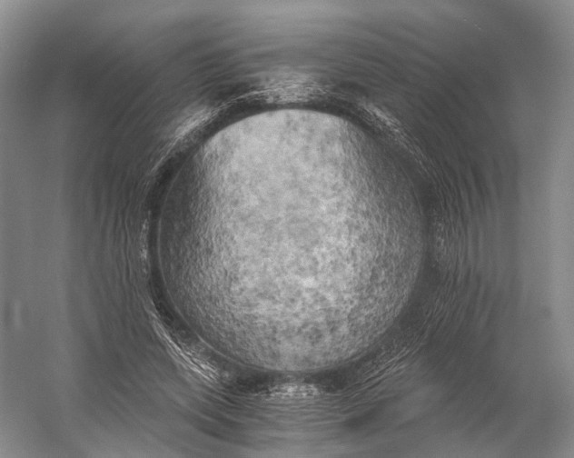 X0000058800543200510171349