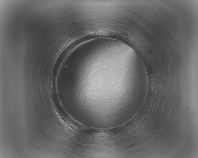 X0000058800544200510171349