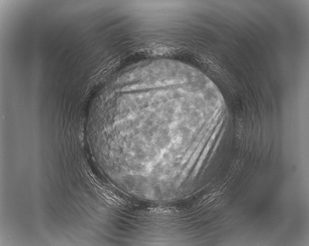 X0000058800545200510171349