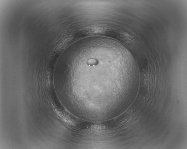 X0000058800546200510171350