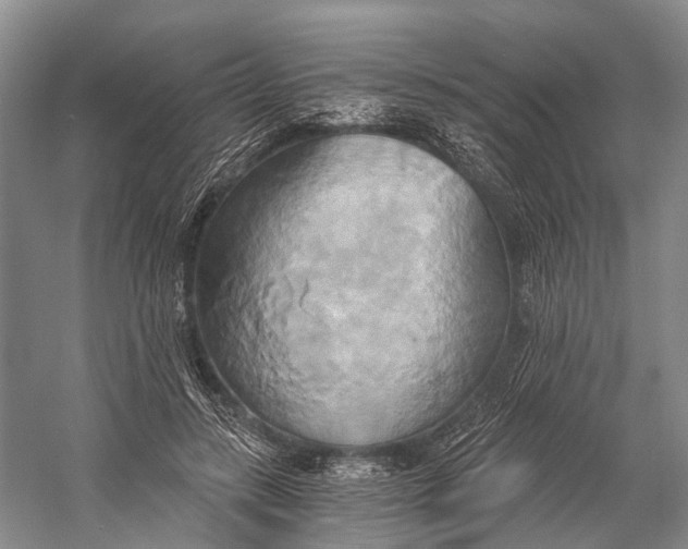 X0000058800547200510171350