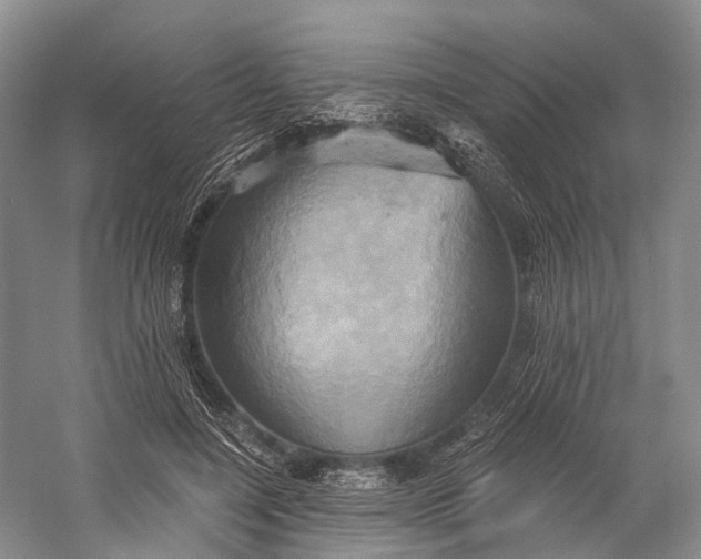 X0000058800548200510171350