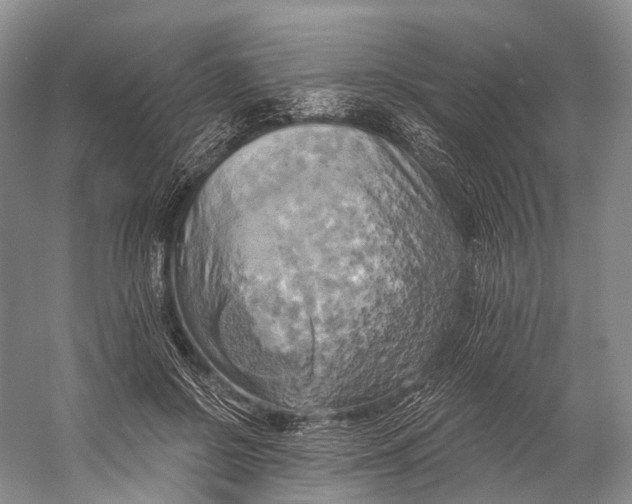 X0000058800550200510171350