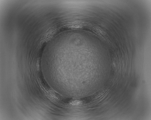 X0000058800551200510171350