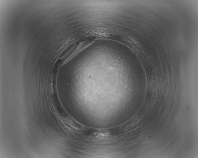 X0000058800552200510171350