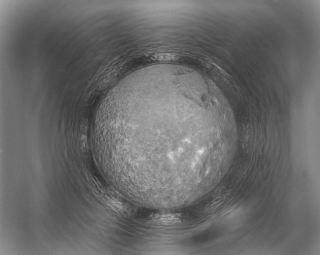 X0000058800553200510171350