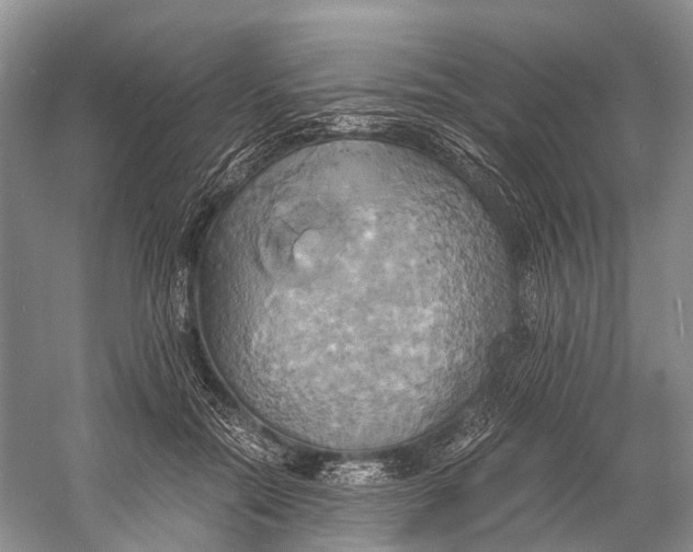 X0000058800554200510171350