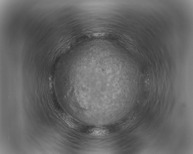 X0000058800555200510171350