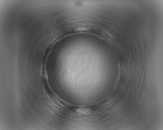 X0000058800556200510171350