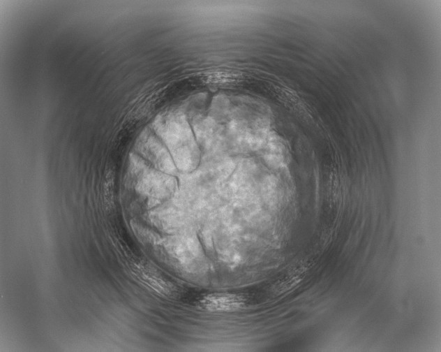 X0000058800557200510171350