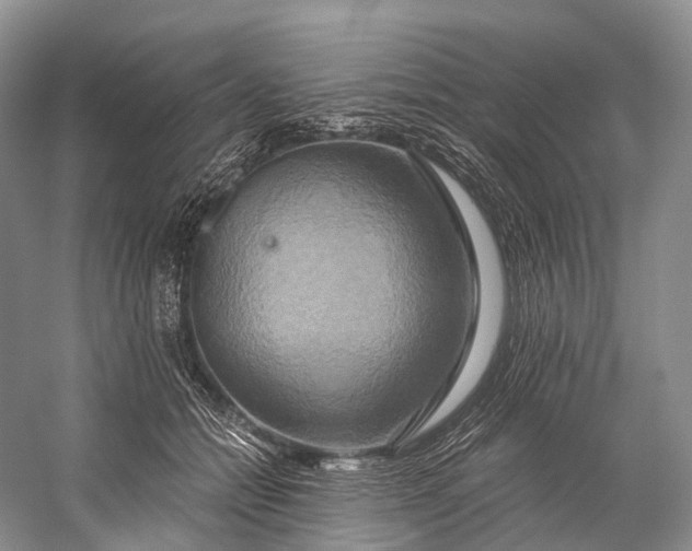 X0000058800558200510171350