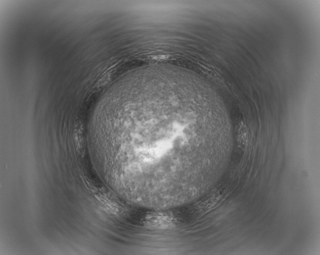 X0000058800559200510171350