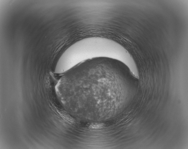 X0000058800560200510171350