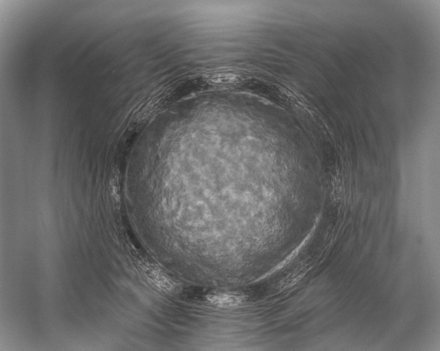 X0000058800561200510171350