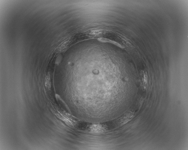 X0000058800562200510171350