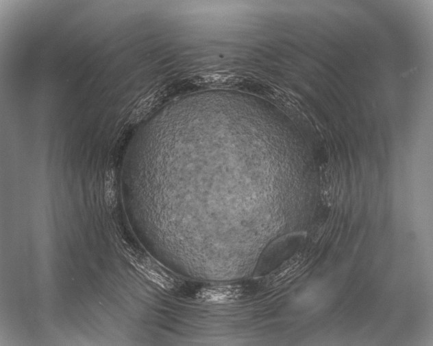 X0000058800563200510171350