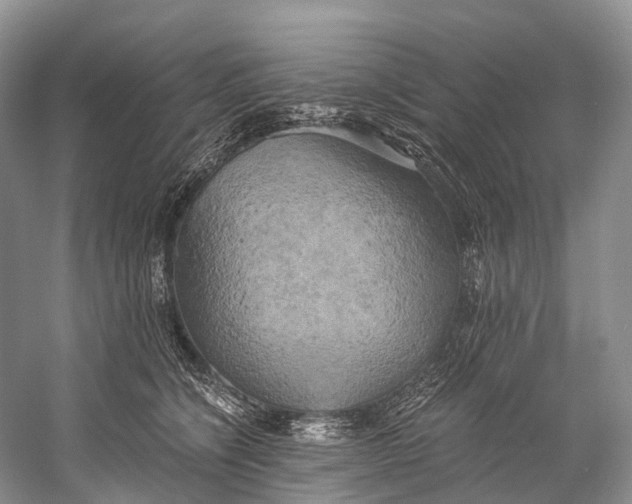 X0000058800564200510171350