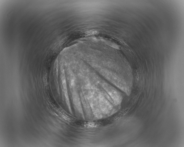 X0000058800565200510171350