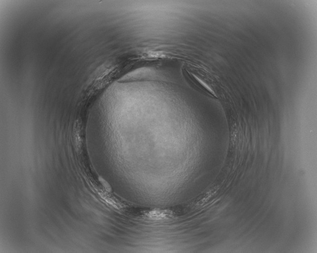 X0000058800566200510171350