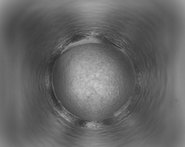 X0000058800568200510171350