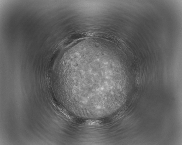 X0000058800569200510171350