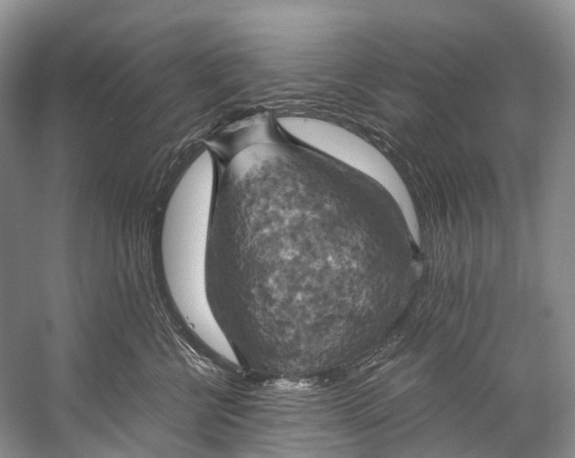 X0000058800570200510171350