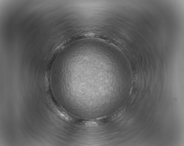 X0000058800572200510171350