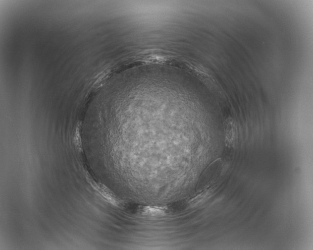 X0000058800573200510171350