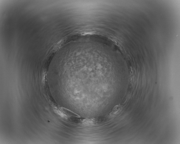 X0000058800574200510171350