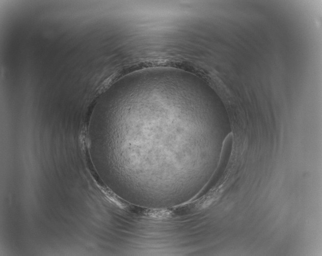 X0000058800576200510171350