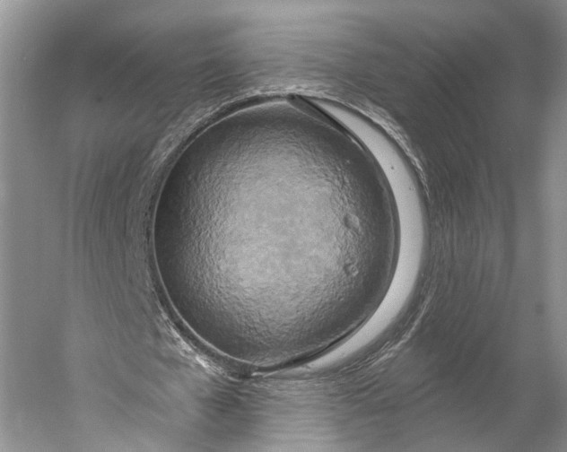 X0000058800577200510171349