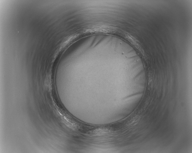 X0000058800578200510171349