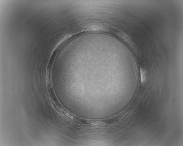 X0000058800579200510171349