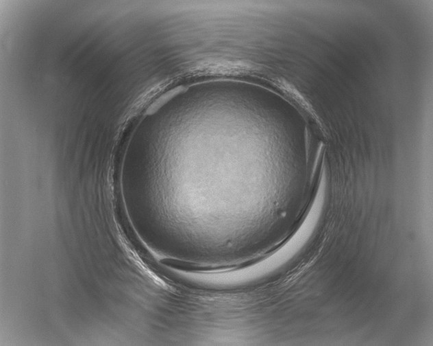 X0000058800581200510171349