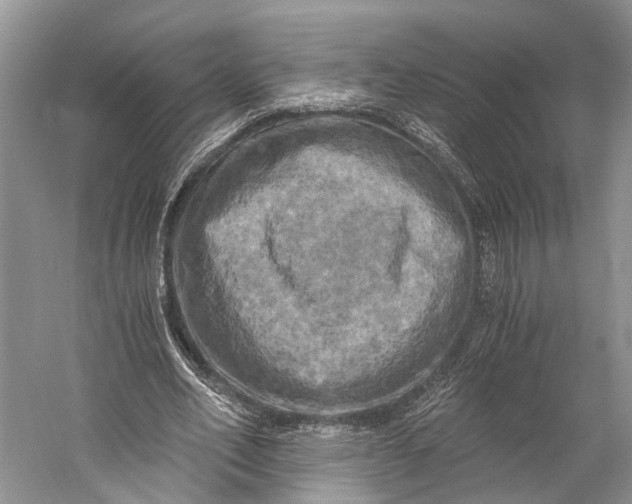 X0000058800582200510171349