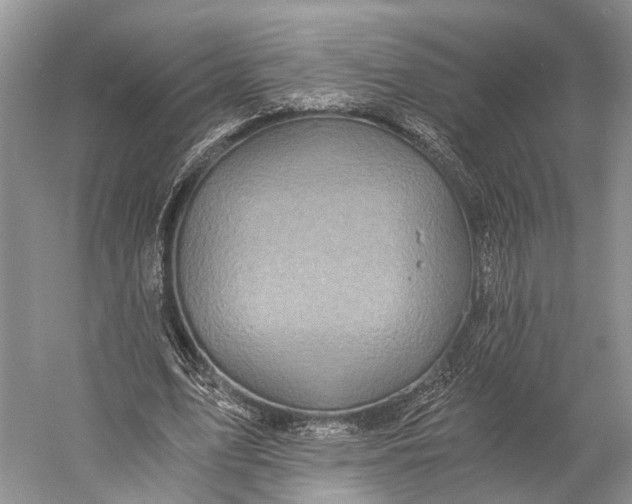 X0000058800583200510171349