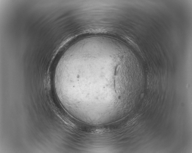 X0000058800584200510171349