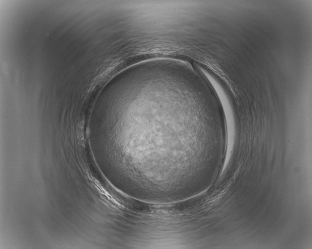 X0000058800585200510171349