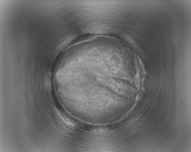 X0000058800586200510171349