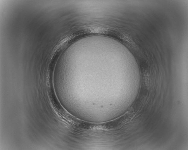 X0000058800587200510171349