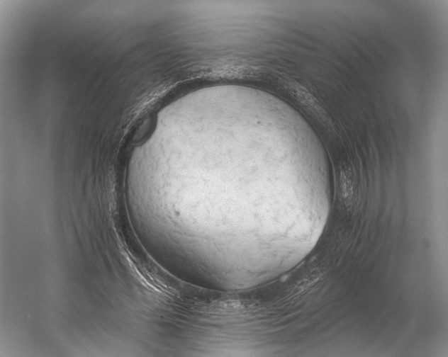 X0000058800588200510171349