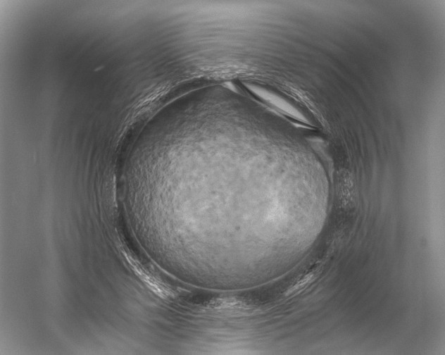 X0000058800589200510171349