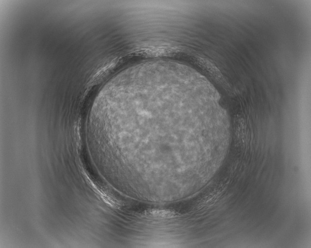 X0000058800590200510171349