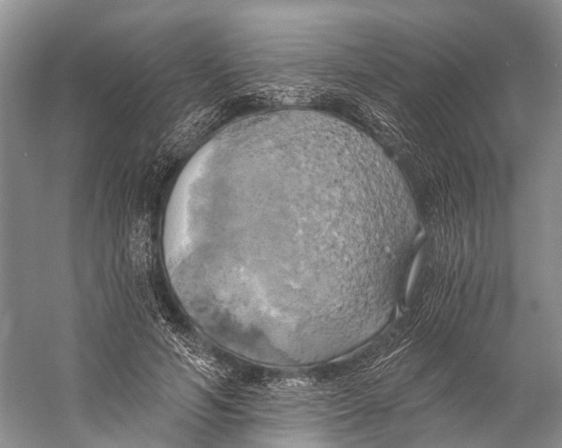 X0000058800594200510171349