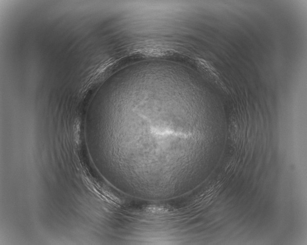 X0000058800596200510171349